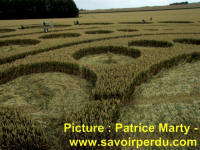 Avebury Stone Circle, Wiltshire crop circle, aerial photo 57